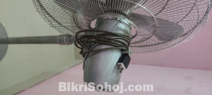 বড় ফ্যান